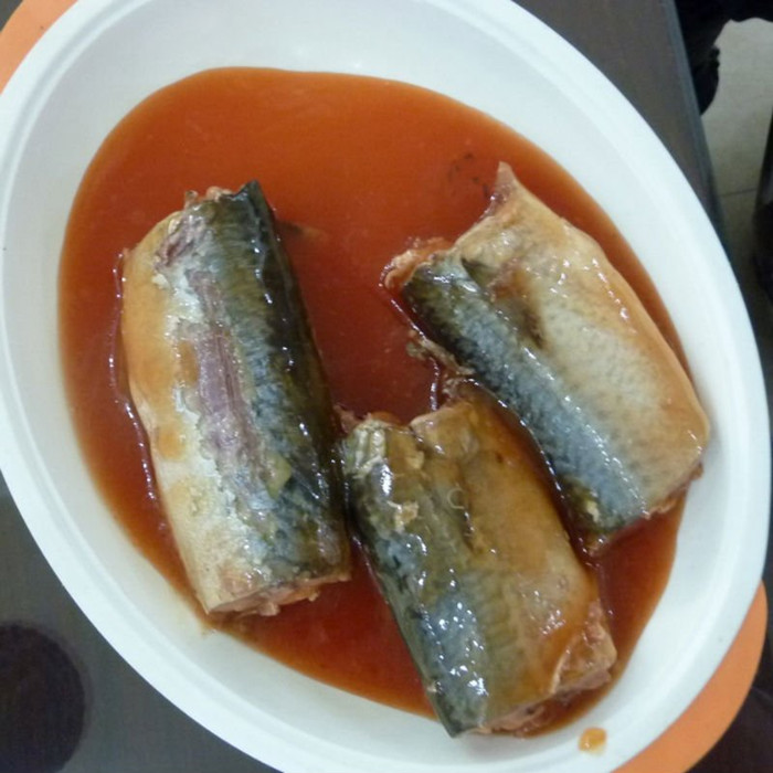canned mackerel factory